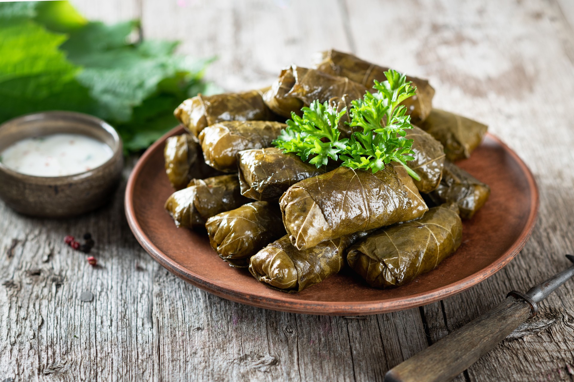 traditional dish dolma